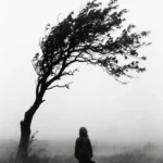 فیلم-کوتاه-وسترن